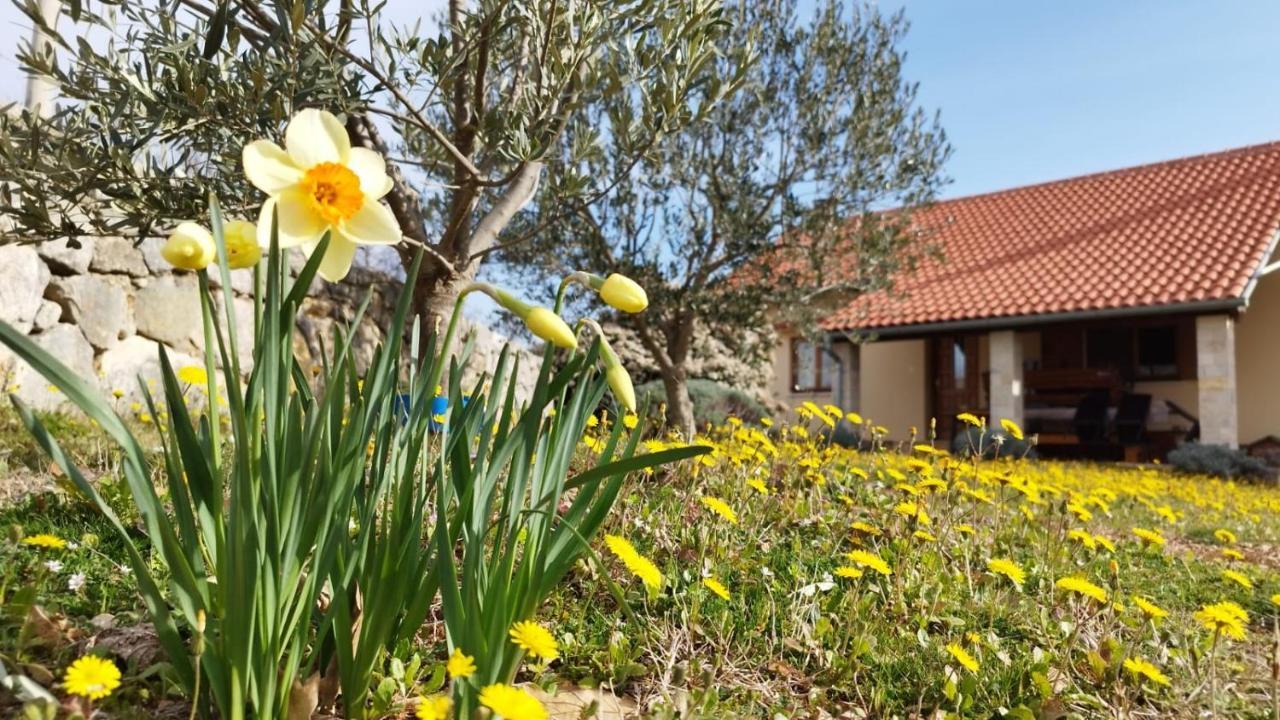 אוברובץ Holiday House Green Dream מראה חיצוני תמונה