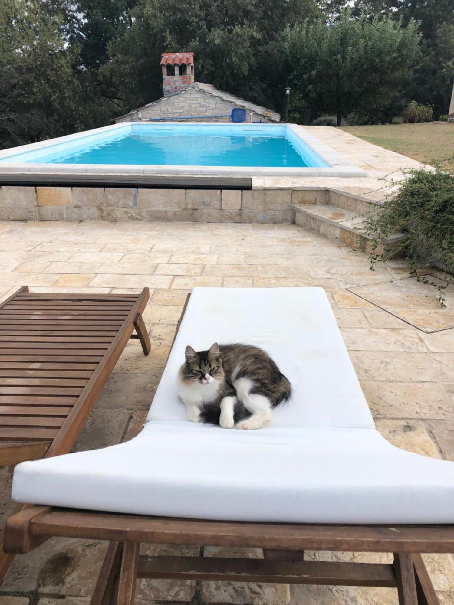 אוברובץ Holiday House Green Dream מראה חיצוני תמונה
